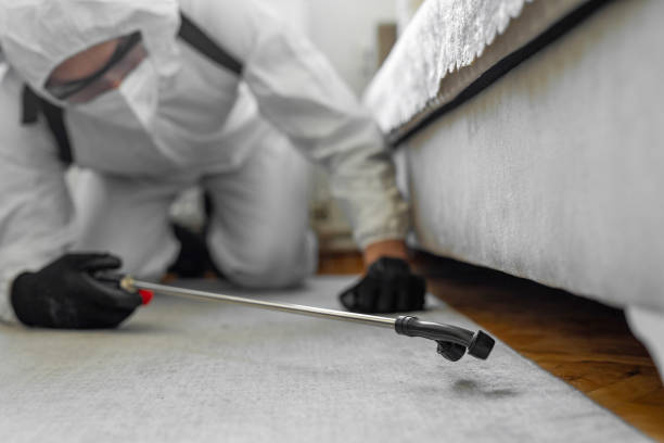Professional Termite Control technician working in Mount Pleasant, MI