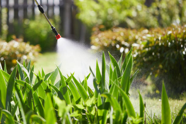 24/7 Emergency Termite Control experts in Mount Pleasant, MI