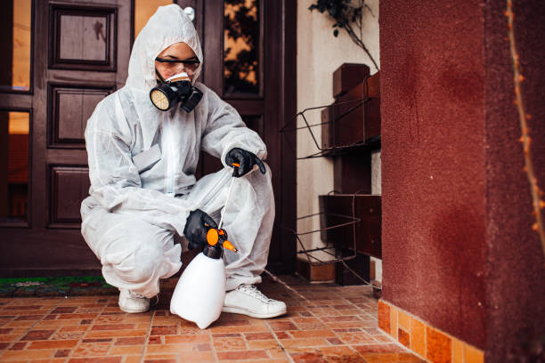 Reliable Termite Control contractor in Mount Pleasant, MI by Nex Pest Control