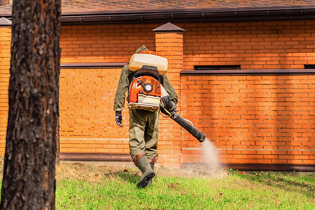 Trusted Cockroach Control service in Mount Pleasant, MI - Nex Pest Control